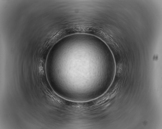 X0000100951202200807011300