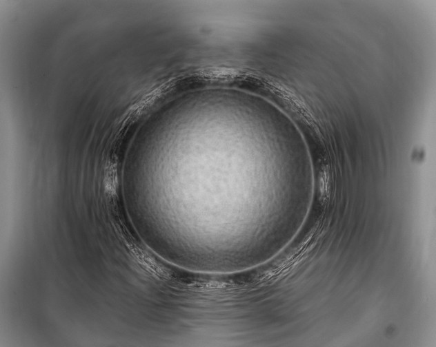 X0000100951204200807011300