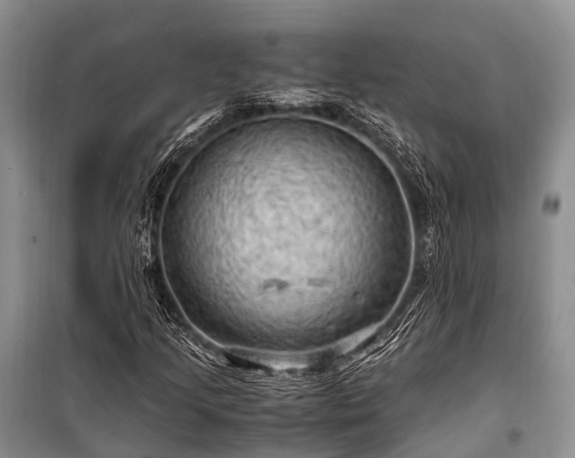 X0000100951205200807011300