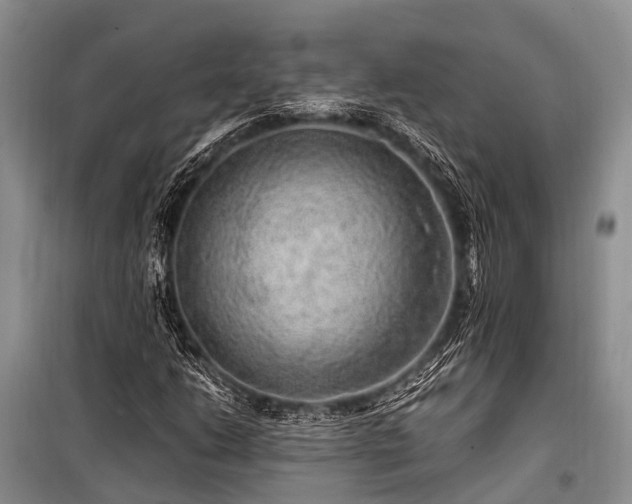 X0000100951206200807011300
