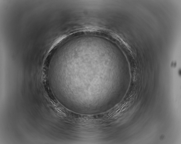 X0000100951208200807011300