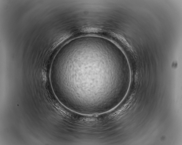 X0000100951209200807011300