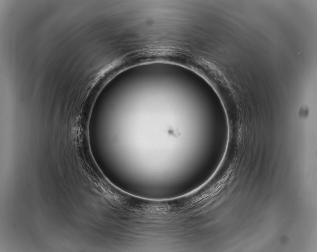 X0000100951210200807011300
