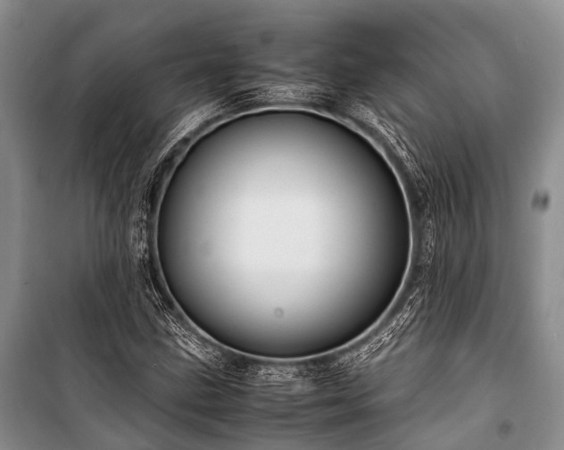 X0000100951211200807011300