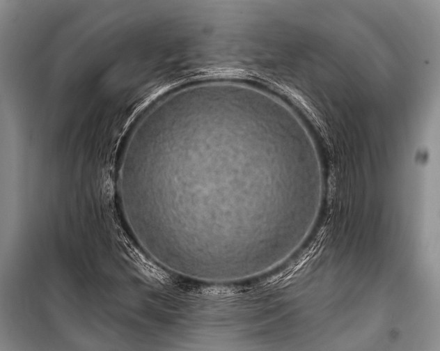 X0000100951212200807011301