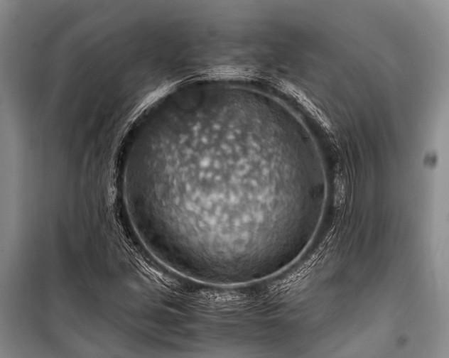 X0000100951213200807011301