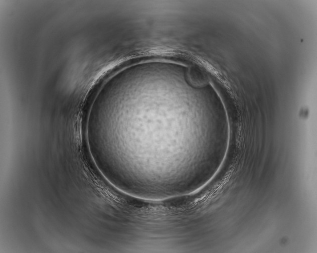 X0000100951214200807011301