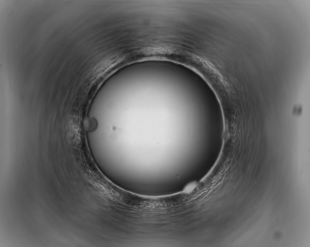 X0000100951217200807011301
