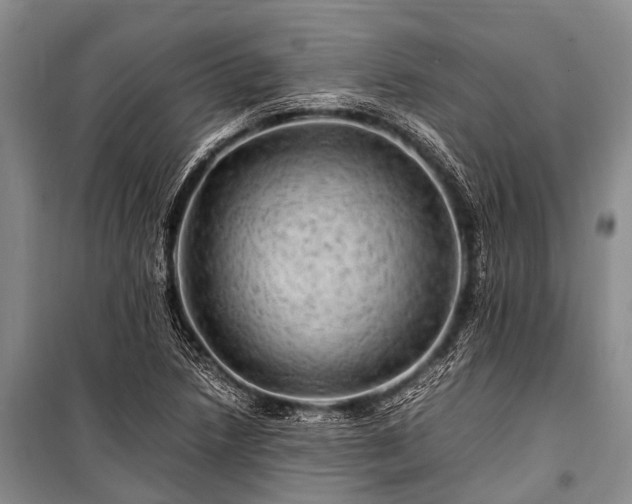 X0000100951218200807011301