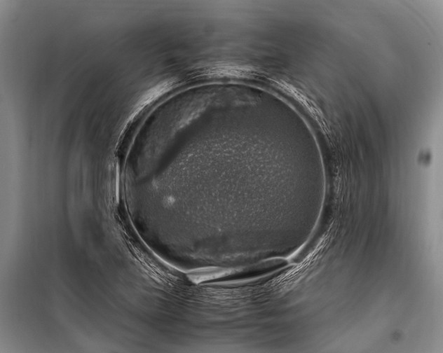 X0000100951219200807011301