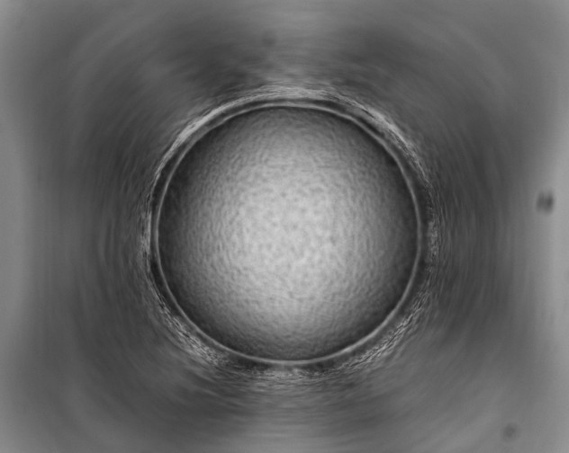 X0000100951220200807011301