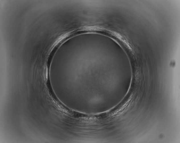 X0000100951221200807011301