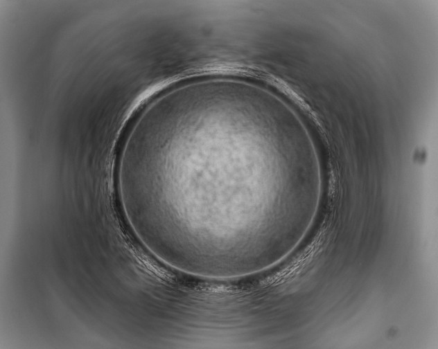 X0000100951222200807011301