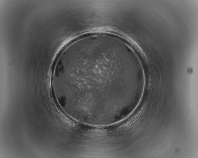X0000100951224200807011301