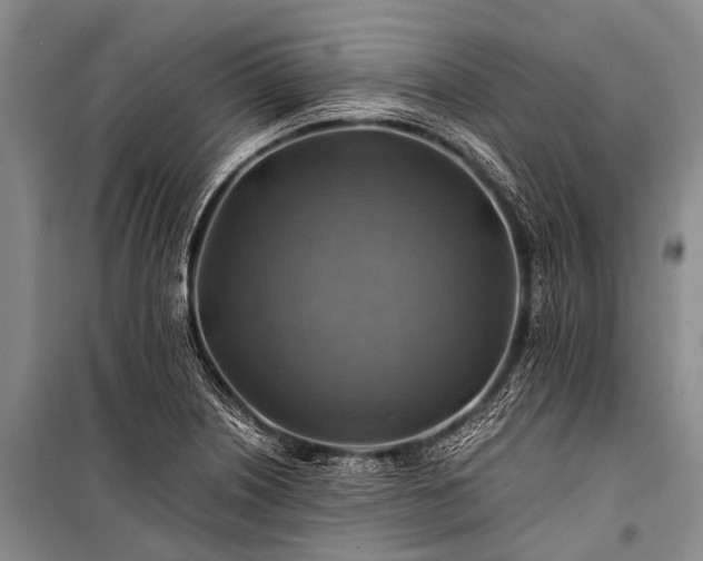 X0000100951226200807011301