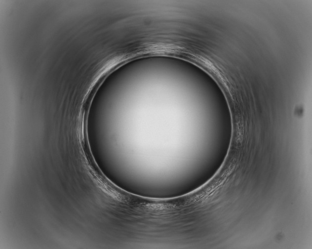 X0000100951227200807011301