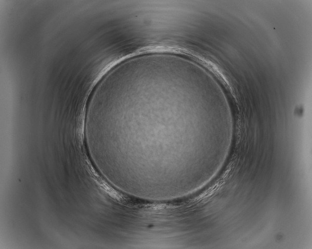 X0000100951228200807011301