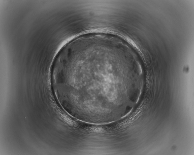 X0000100951230200807011301