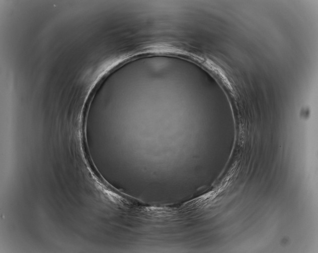 X0000100951231200807011301