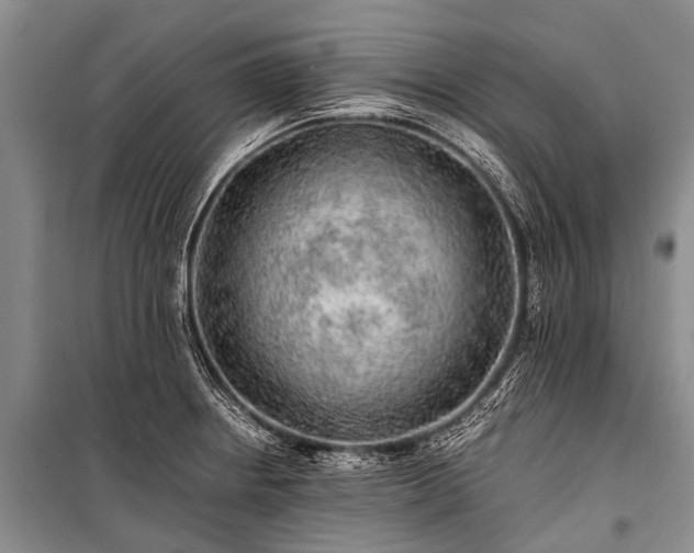 X0000100951234200807011301