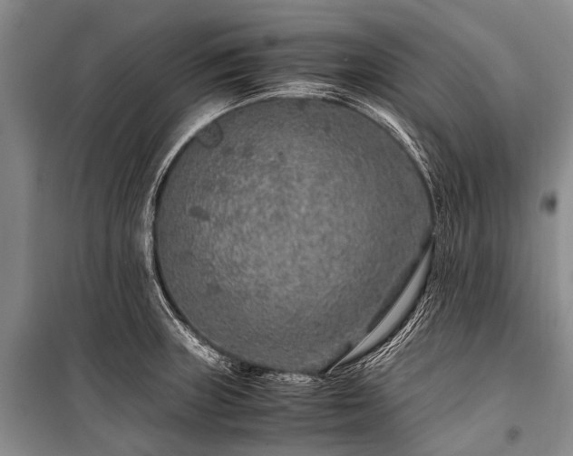 X0000100951235200807011301