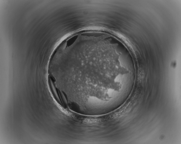 X0000100951237200807011301