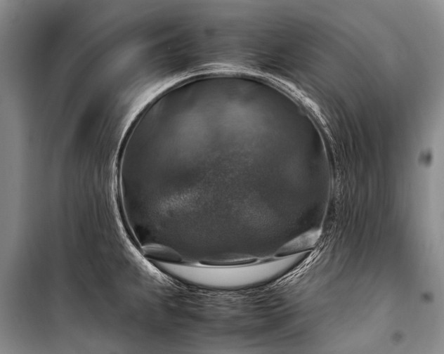 X0000100951239200807011301