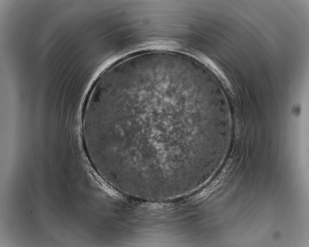X0000100951240200807011301