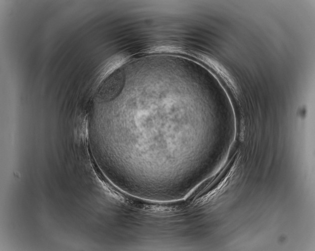 X0000100951241200807011301