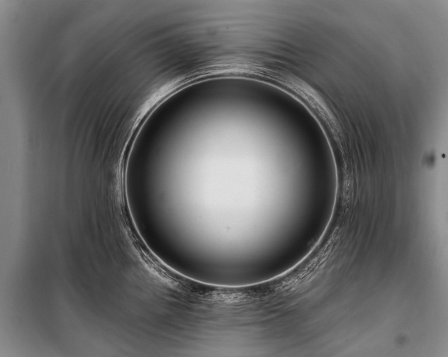 X0000100951242200807011301