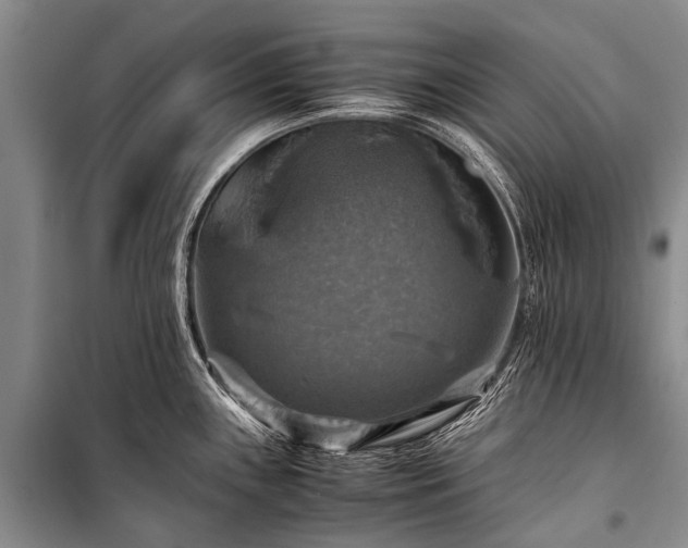 X0000100951243200807011301