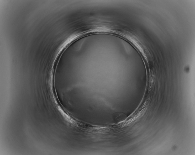 X0000100951245200807011301