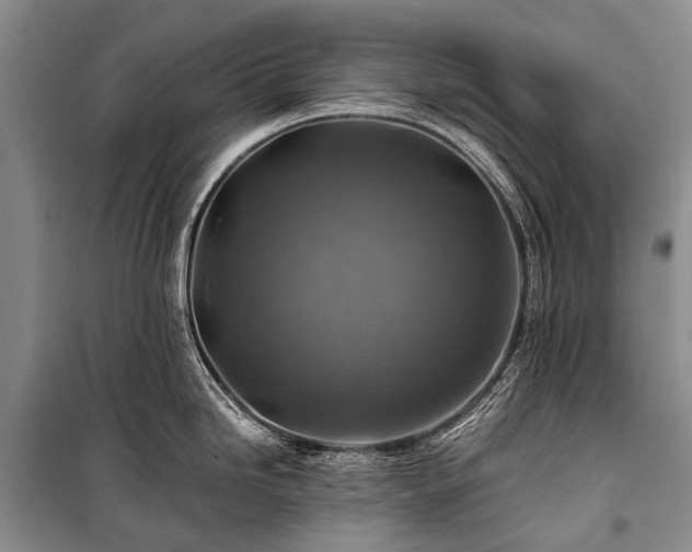 X0000100951246200807011301