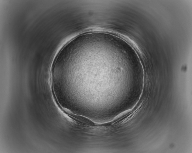 X0000100951247200807011301