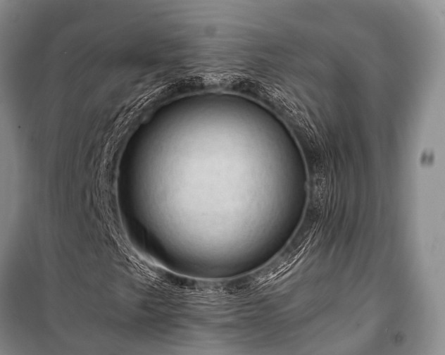 X0000100951249200807011300