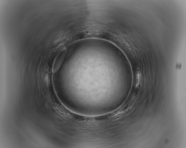 X0000100951250200807011300