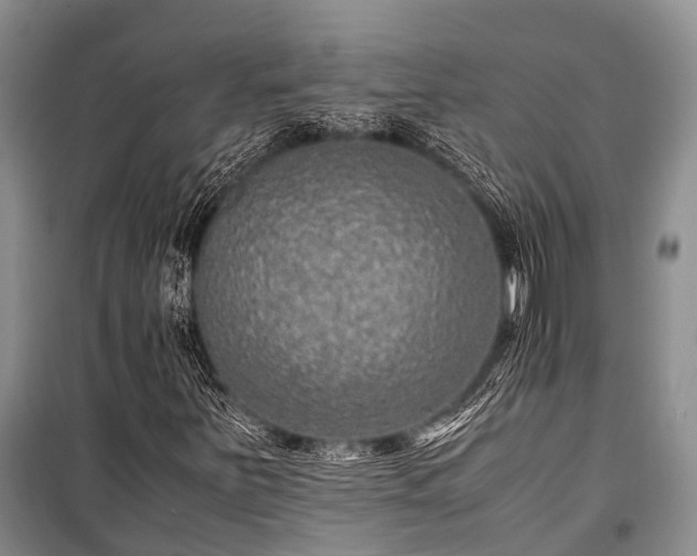 X0000100951251200807011300