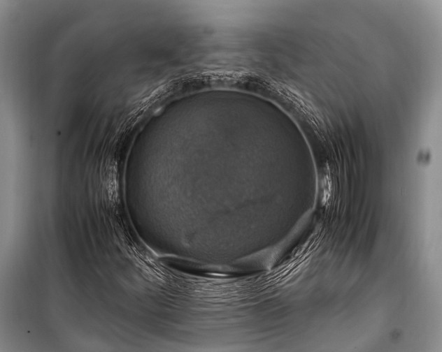 X0000100951252200807011300