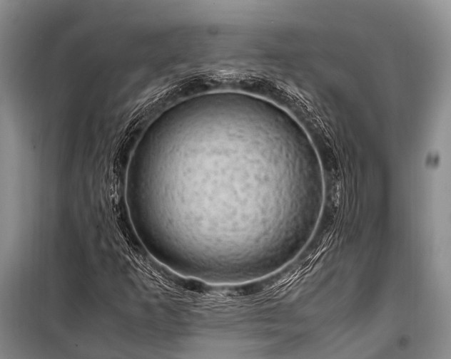 X0000100951253200807011300