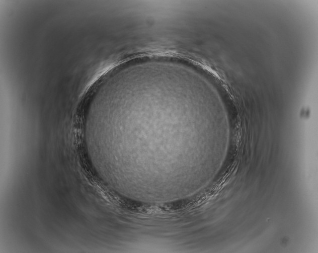 X0000100951255200807011300