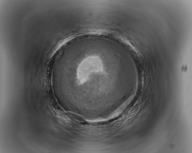 X0000100951256200807011300