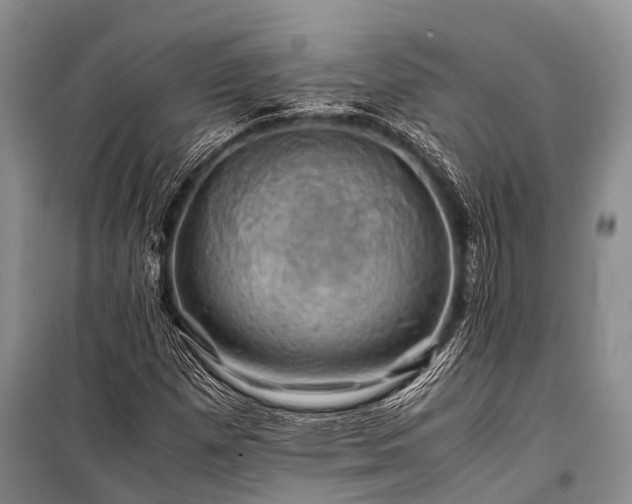 X0000100951257200807011300