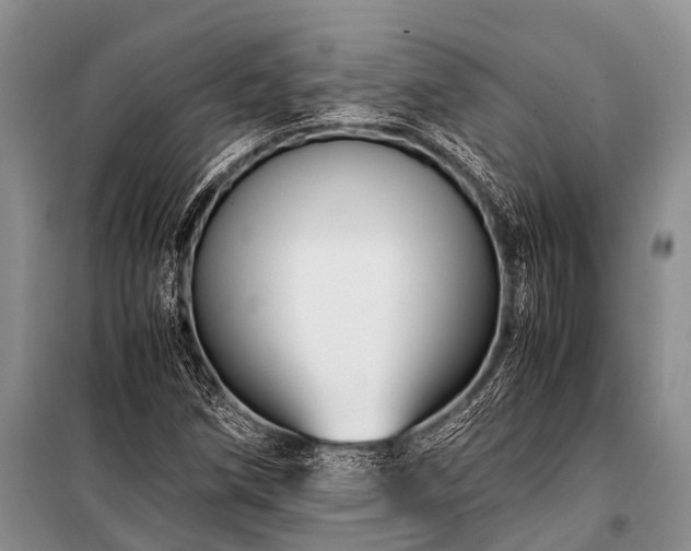 X0000100951258200807011300