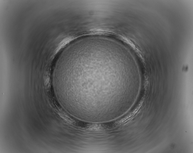 X0000100951259200807011300