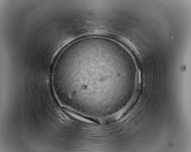X0000100951260200807011300