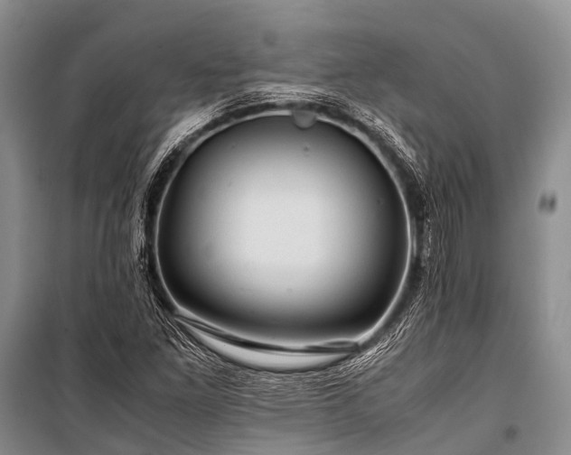 X0000100951261200807011300