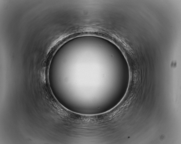 X0000100951262200807011300
