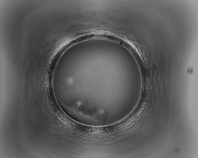 X0000100951263200807011300