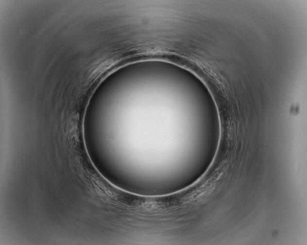 X0000100951265200807011300
