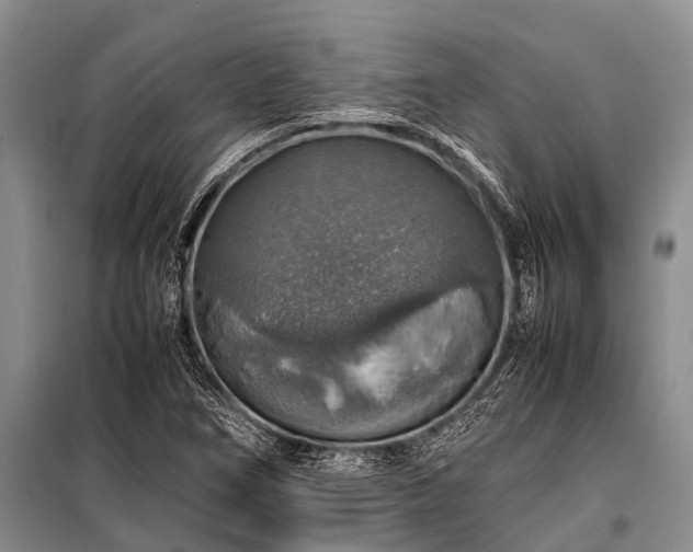 X0000100951266200807011300